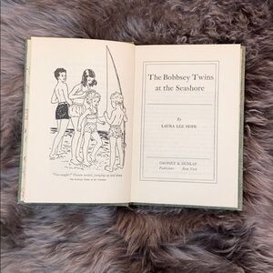 Vintage Bobbsey Twins at the Seashore book